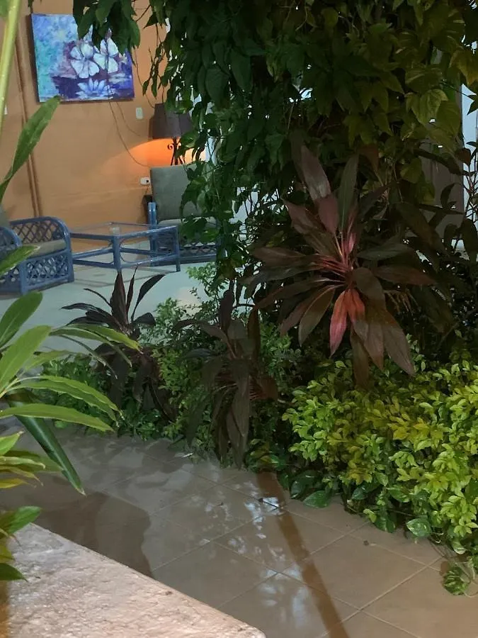 Casa Centro 70 Hotel Merida Guest house